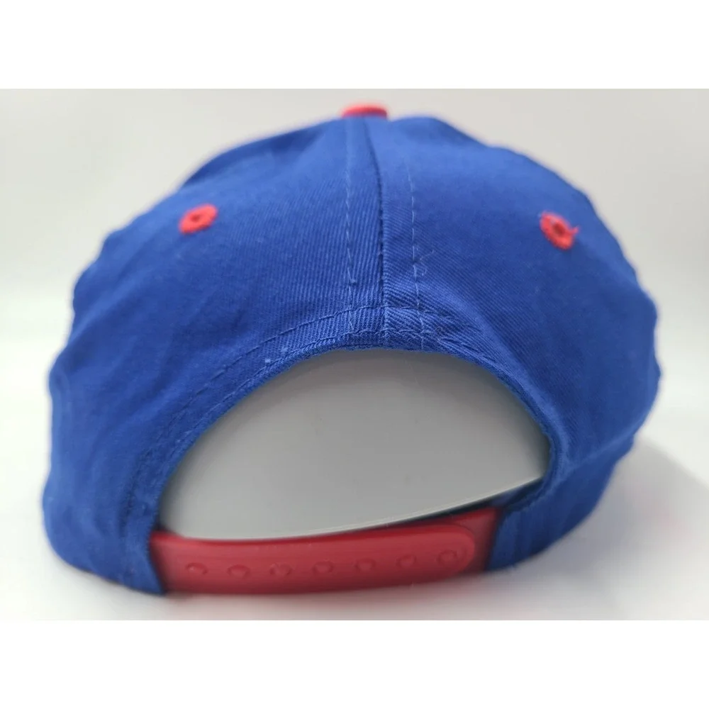 Vintage Youth Chicago Cubs Looney Tunes Fowl Play Taz Daffy Snapback Hat Cap MLB